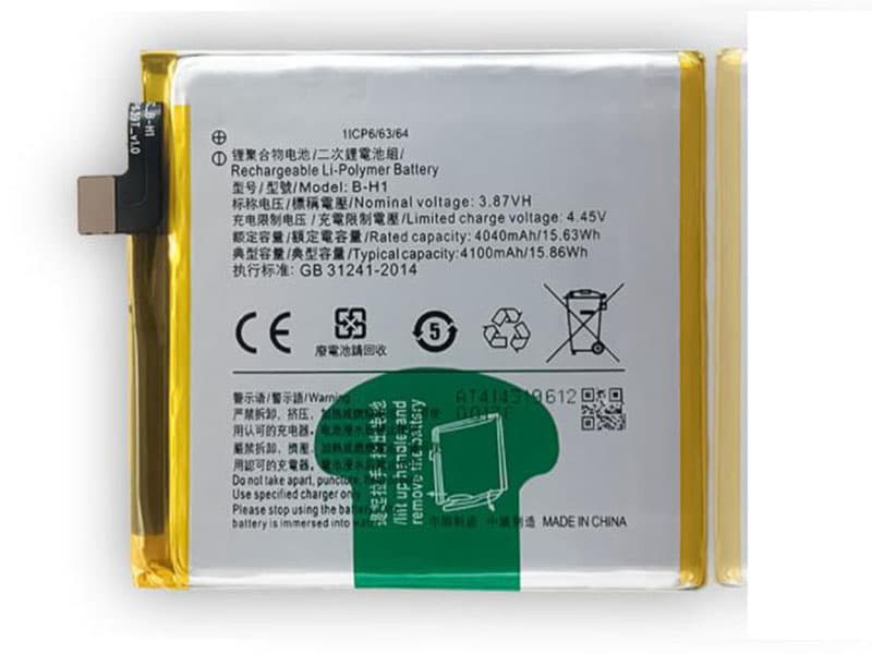 vivo B-H1