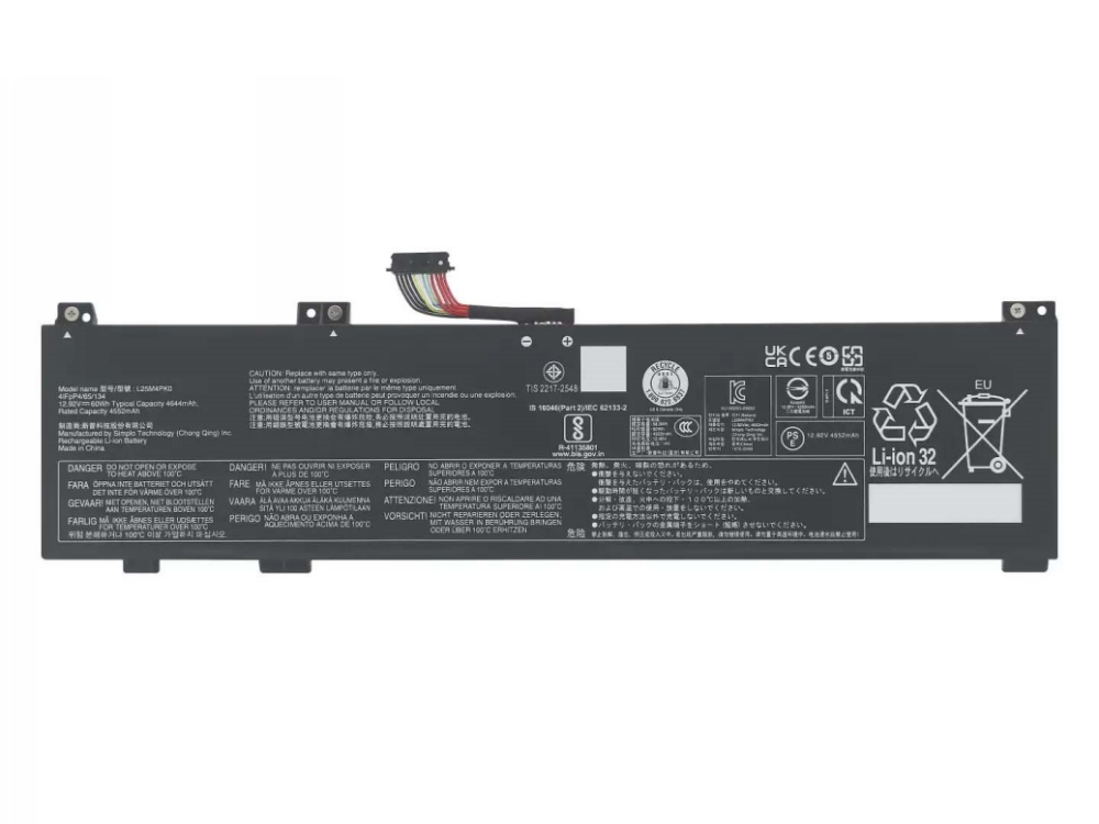 LENOVO L25M4PK0