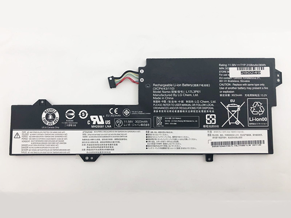 Lenovo L17L3P61